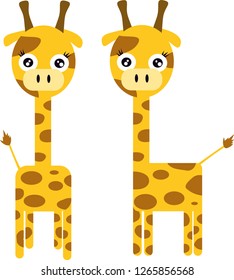 giraffe vector image