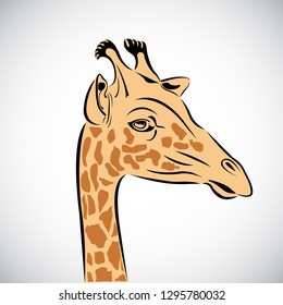 Giraffe vector Isolated on the white background