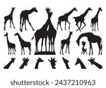 Giraffe vector For Print, Giraffe Clipart, Giraffe vector Illustration