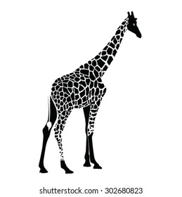 giraffe vector silhouette