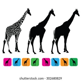 giraffe vector silhouette
