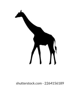 giraffe vector silhouette illustration design 