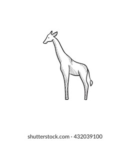 Giraffe vector sketch icon isolated on background. Hand drawn Giraffe icon. Giraffe sketch icon for infographic, website or app.