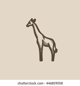 Giraffe vector sketch icon isolated on background. Hand drawn Giraffe icon. Giraffe sketch icon for infographic, website or app.