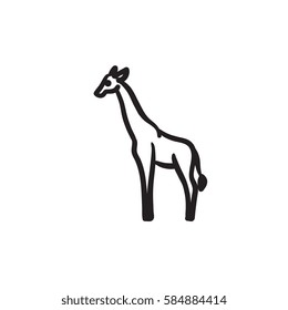 Giraffe vector sketch icon isolated on background. Hand drawn Giraffe icon. Giraffe sketch icon for infographic, website or app.