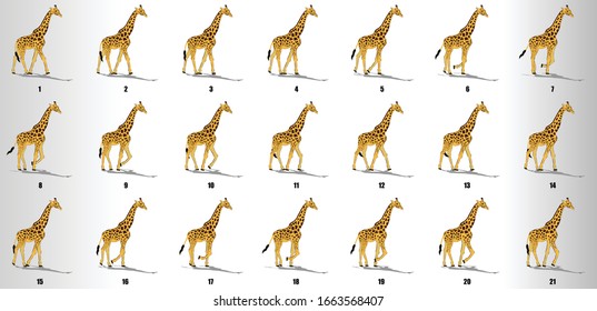 Giraffe Walk Cycle Animation Frames, Loop Animation Sequence Sprite Sheet 