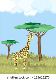 Giraffe walking on the savannah