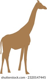 Giraffe walking tall on dry African savanna landscape