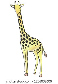 giraffe with watercolor texture