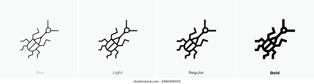 giraffe weevil icon. Thin, Light Regular And Bold style design isolated on white background