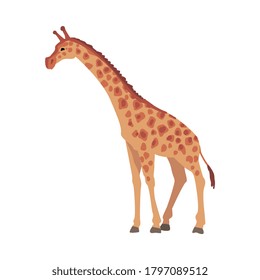 Giraffe Wild African Animal, Side View Cartoon Vector Illustration