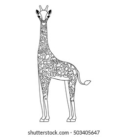 giraffe wild animal