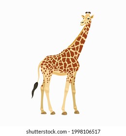 Giraffe, the wild animal of Africa. Vector flat illustration isolated on white background