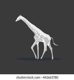 Giraffe, Wild Animals