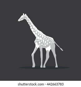 Giraffe, Wild Animals