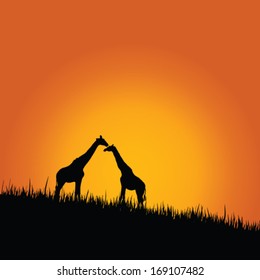giraffe in wilderness color vector illustration