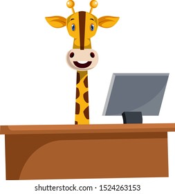 Giraffe working by the desk, illustration, vector on white background.