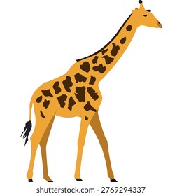 Giraffe zoo animal vector icon isolated on white background
