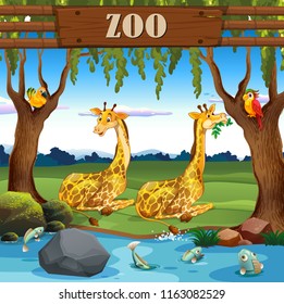 Giraffe in the zoo illustration