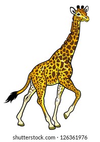 giraffe,africa animal,side view picture isolated on white background,vector illustration