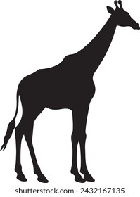 Giraffee Silhouette Vector Illustration White Background