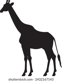 Giraffee Silhouette Vector Illustration White Background