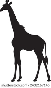 Giraffee Silhouette Vector Illustration White Background