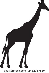 Giraffee Silhouette Vector Illustration White Background