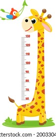 Giraffe,parrot. Meter wall or height chart on white background.