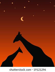 Giraffes