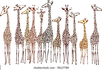 Giraffes