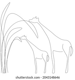 Giraffes animals line drawing vector illustration