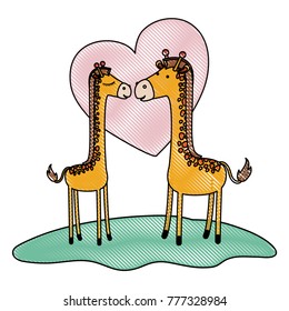 giraffes couple over grass in colored crayon silhouette on white background with heart