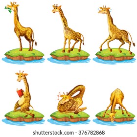 Giraffes in different actions on island illustration