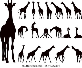 giraffes in different poses silhouette set, vector collection