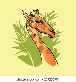 giraffe's head, vector, hand drawn 