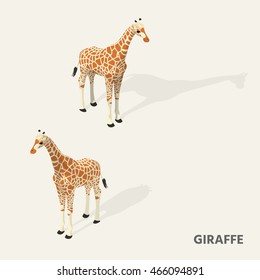 Giraffes in isometric view with shadow.