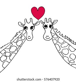 Giraffes love 
