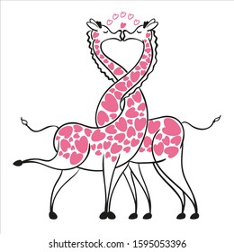 GIRAFFES IN LOVE KISS WITH INTERWINING NECKS
