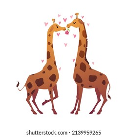 Giraffes in love kissing, cartoon flat vector illustration isolated on white background. Funny animal characters couple. Romantic giraffe holds flower in mouth.