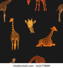 Giraffes on a black background. vector pattern.