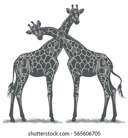 Giraffes on the grass, illustration, vector