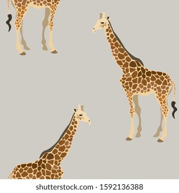 Giraffes on a tender grey, cream background. Seamless vector illustration. Picture with exotic animals of the african savannah. Endless pattern. EPS 10
