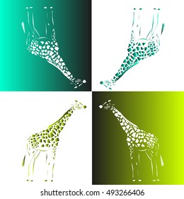 giraffes pattern vector illustration