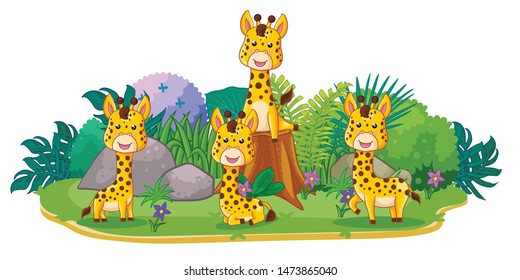 giraffes are playing together in the garden