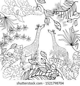 Giraffes in the rainforest. Line drawing. Vector illustration for coloring.