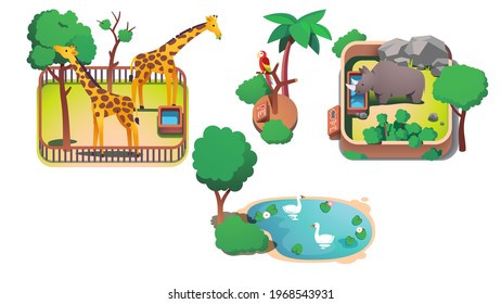 Giraffes, rhinoceros in enclosure, parrot on tree branch, swans swimming in pond in zoo. Exotic mammals and birds cartoon animals. Summer nature zoology. Flat vector character isolated illustration