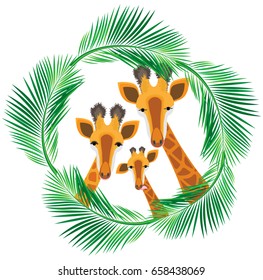 Giraffes in a round wreath of palm leaves on a transparent background