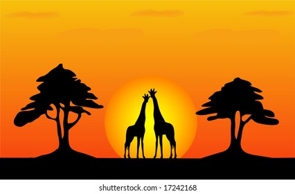 Giraffes - safari sunset - work with vectors - illustration