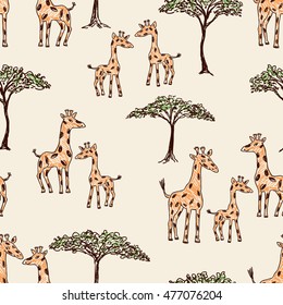 giraffes in the savanna